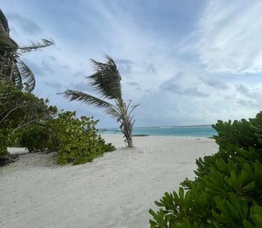 Haa Dhaalu Atoll Bed & Breakfast | Bahee Dé Lite