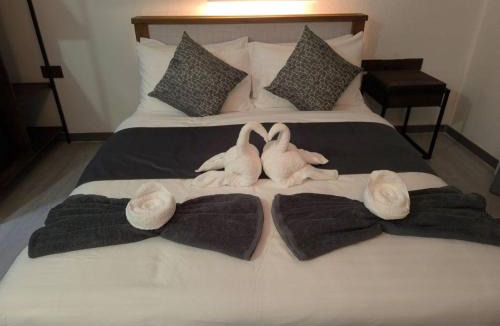 Thoddoo Hotel | Beachwalk Garden Thoddoo