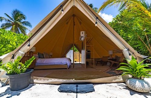 Laamu Atoll Resort | Maverick Surf & Dive Boutique Resort - Complimentary Airport Transport for Full Board Stays of 6 Nights or More