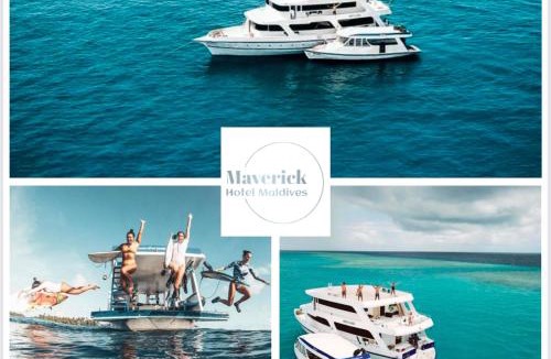 Laamu Atoll Resort | Maverick Surf & Dive Boutique Resort - Complimentary Airport Transport for Full Board Stays of 6 Nights or More
