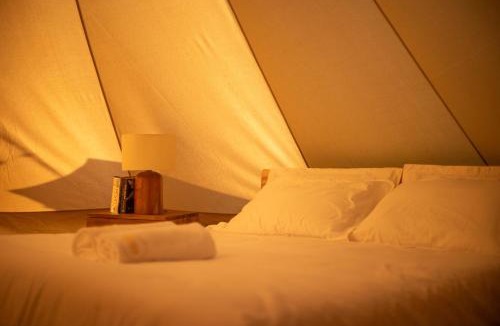 Laamu Atoll Resort | Maverick Surf & Dive Boutique Resort - Complimentary Airport Transport for Full Board Stays of 6 Nights or More
