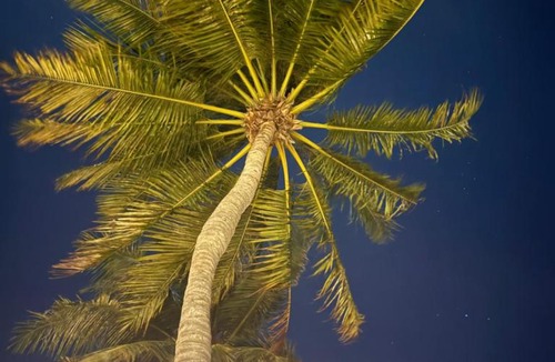 Maamigili Hotel | Moodhu Residence