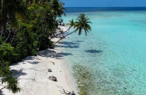 Omadhoo House | Nemo Maldives