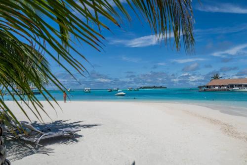 Holiday Inn Resort Kandooma Maldives - Kids Stay & Eat Free and Free Roundtrip Speed Boat for a minimum 4 nights stay