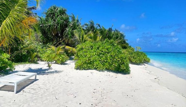 Tropical Sands By Reef Tour in Kelaa