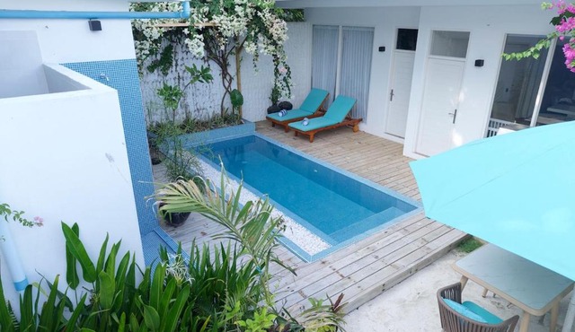 Whale Shark Villa in Fenfushi