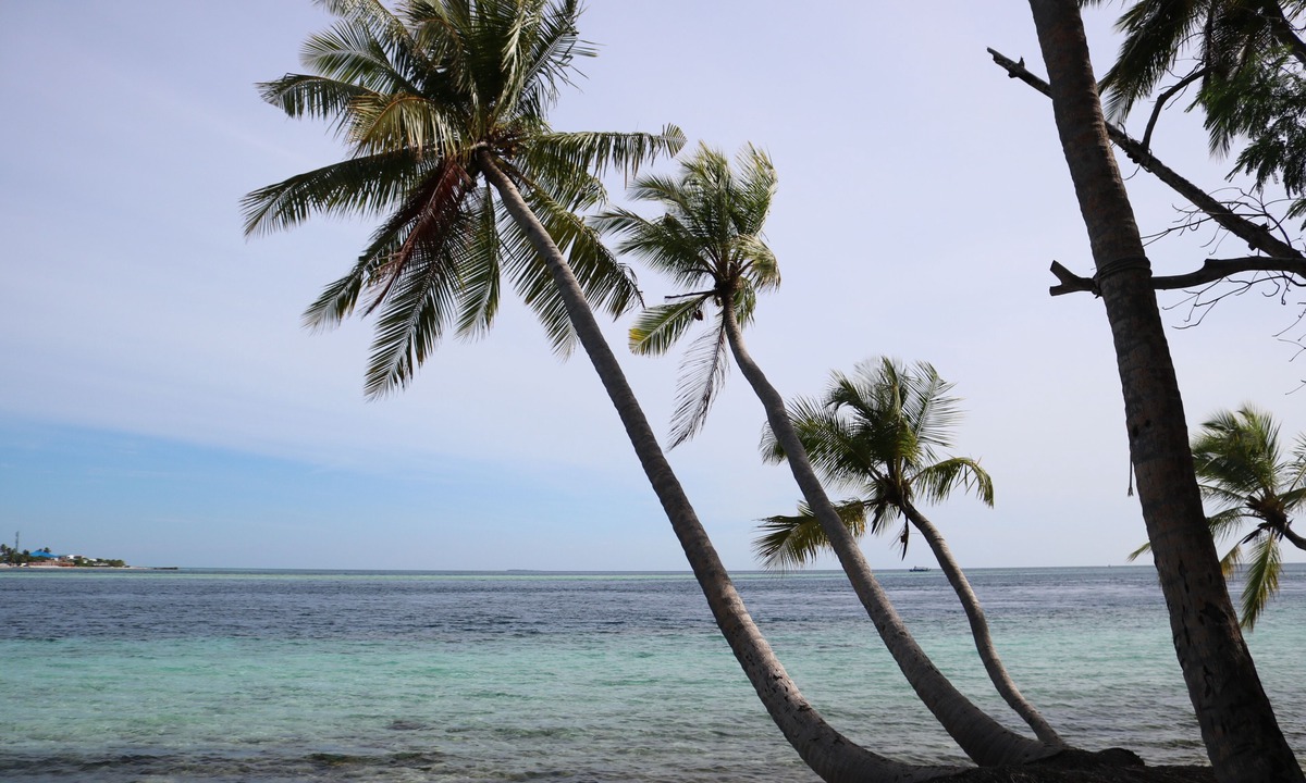 Dhidhoofinolhu Island Cabin | Maldives:Charming 5-bedroom lodge with AC in beautiful Fenfushi