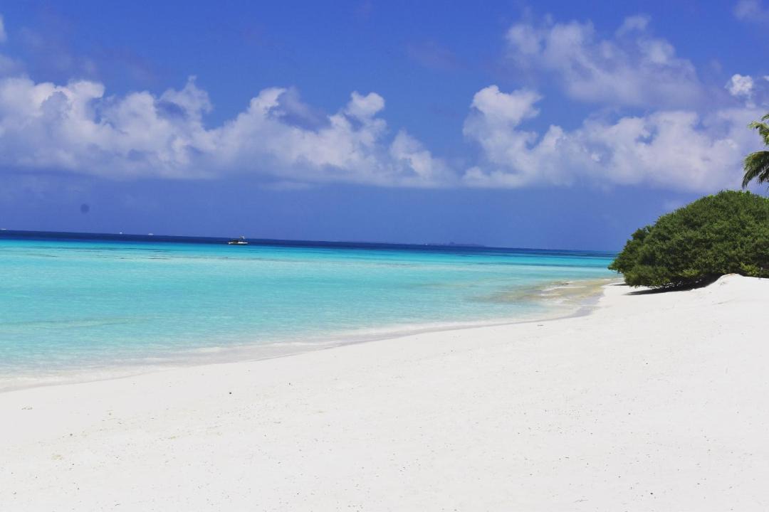 Maamigili Hotel | Moodhu Residence