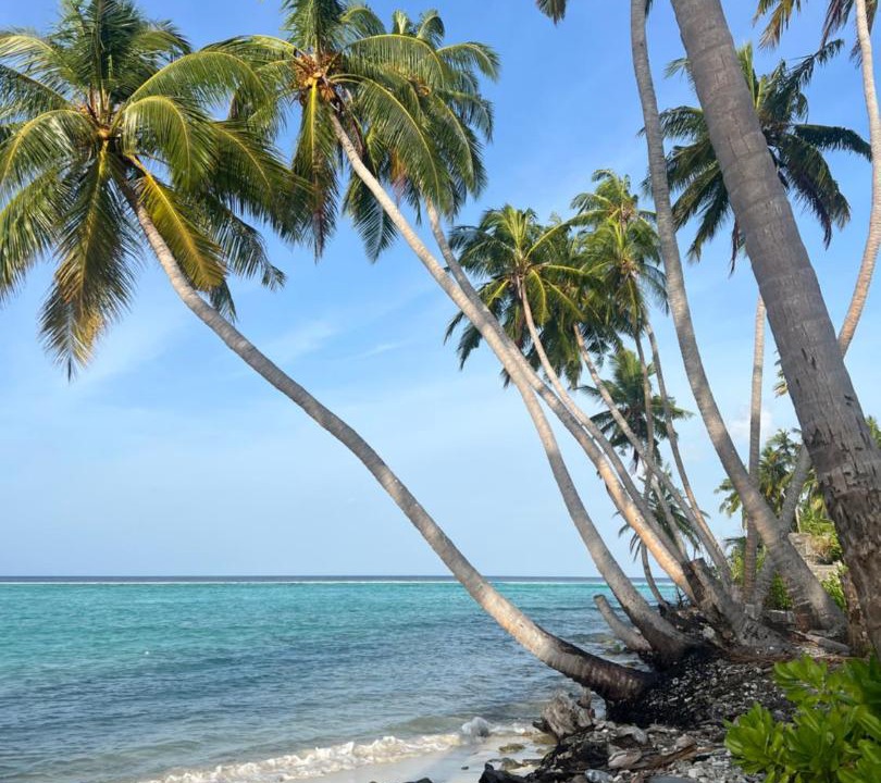 Rinbudhoo House | The Sandora Villa