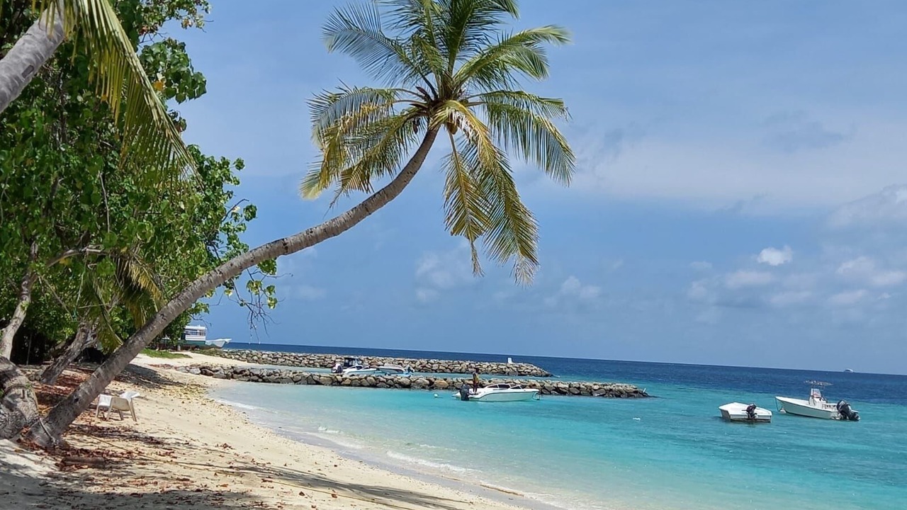 Photo of Others in Rasdhoo