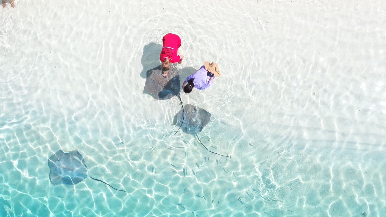 Photo of Others in Maafushi