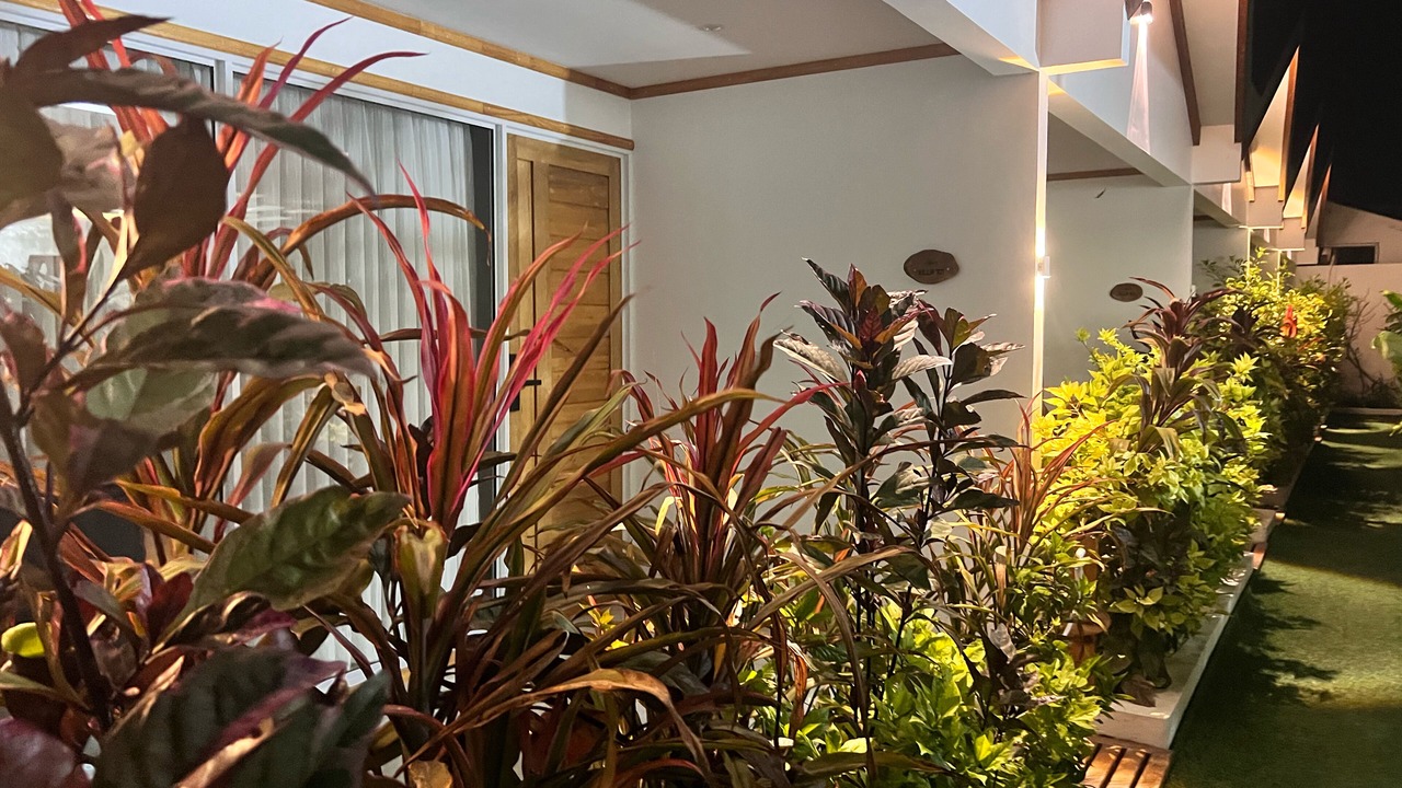 Photo of Outdoor in Milandhoo