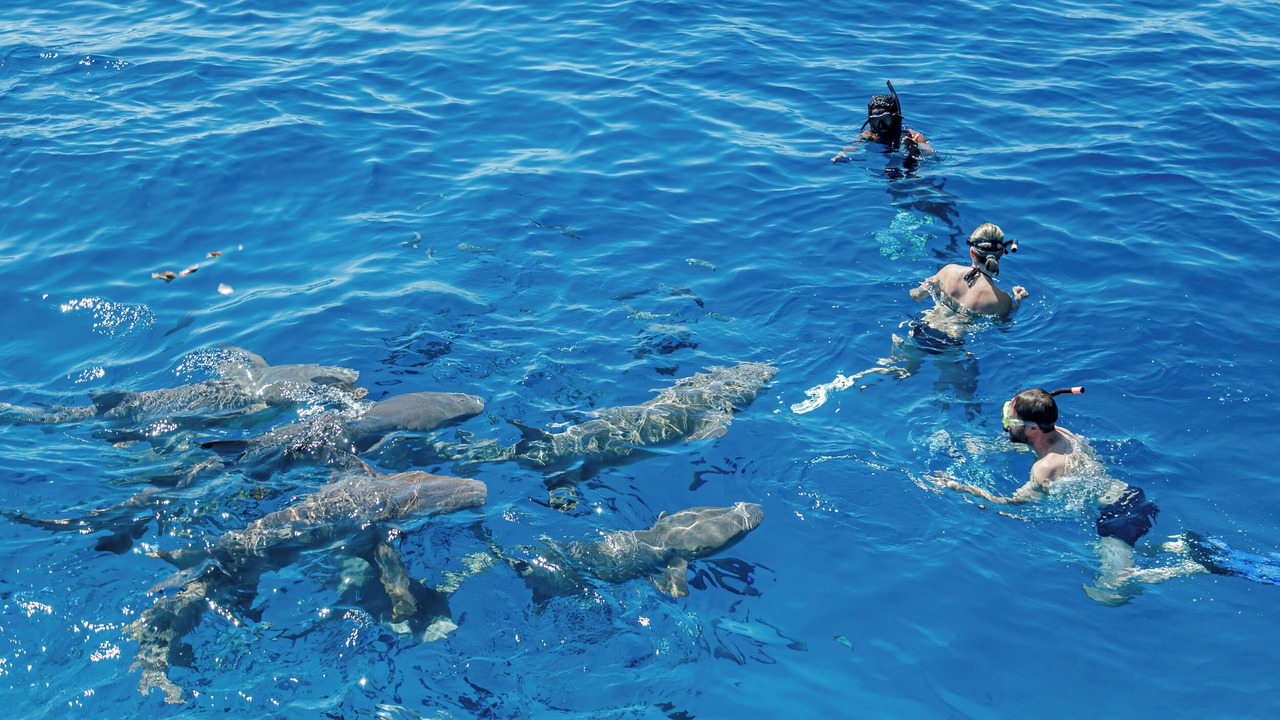 Photo of Others in Fulidhoo