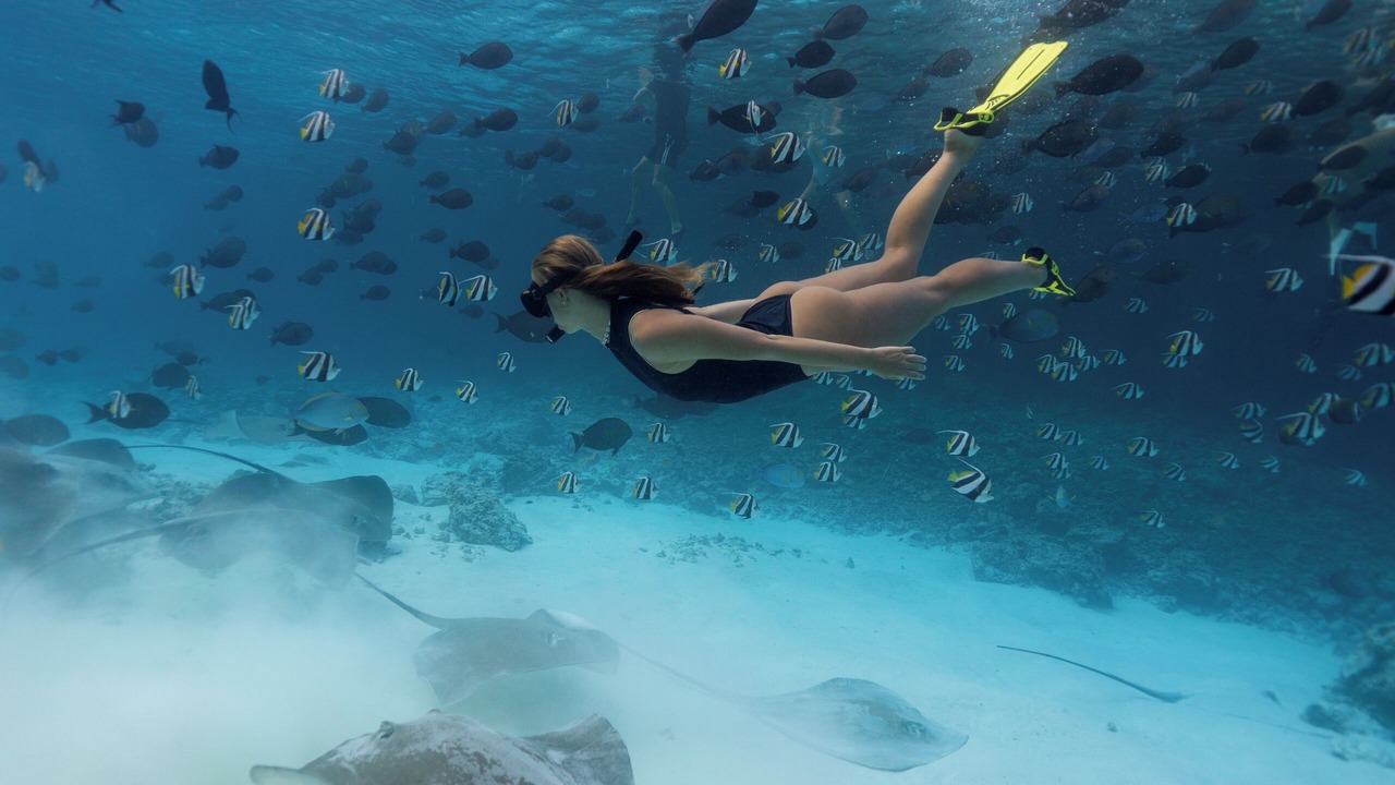 Photo of Others in Thulusdhoo Island