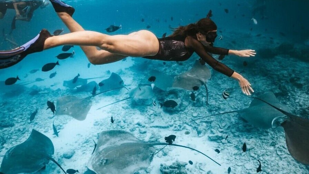 Photo of Others in Thulusdhoo Island