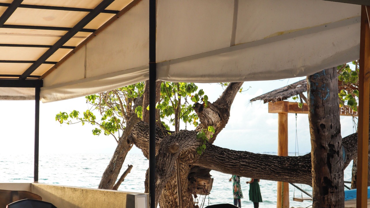 Photo of Others in Dhiffushi