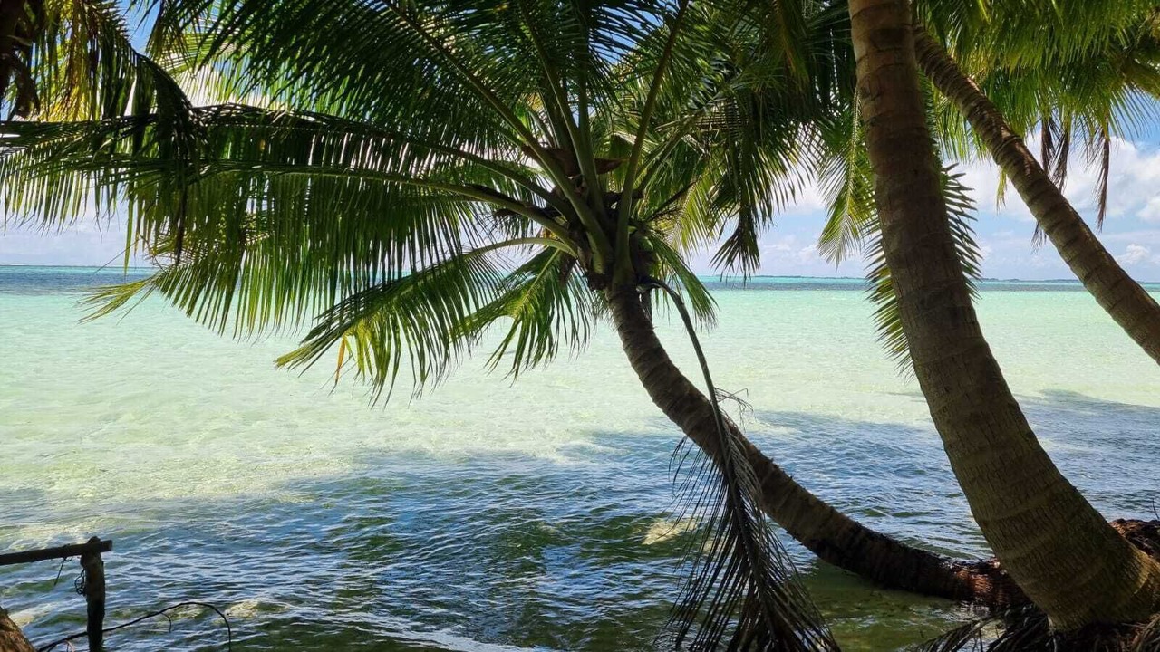 Photo of Others in Vaadhoo