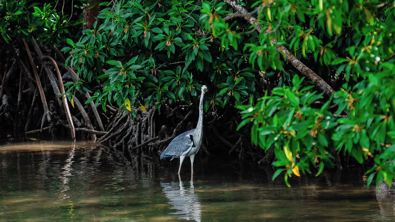 Photo of Outdoor in Huraa