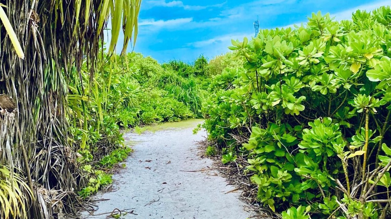 Photo of Others in Fenfushi