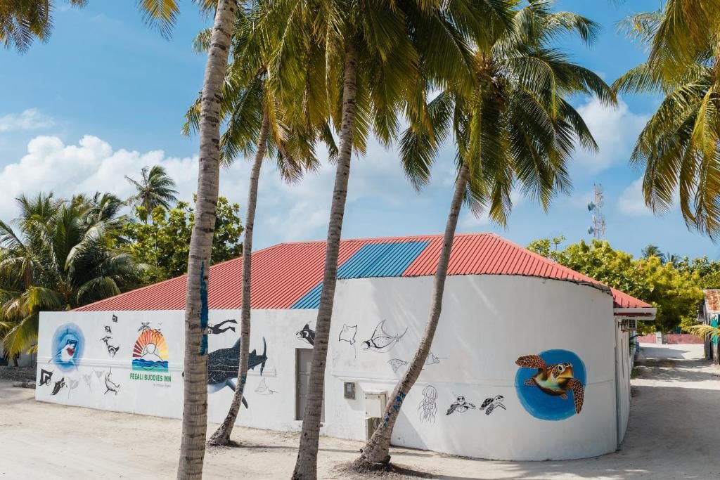 Photo of Outdoor in Dhidhoofinolhu Island