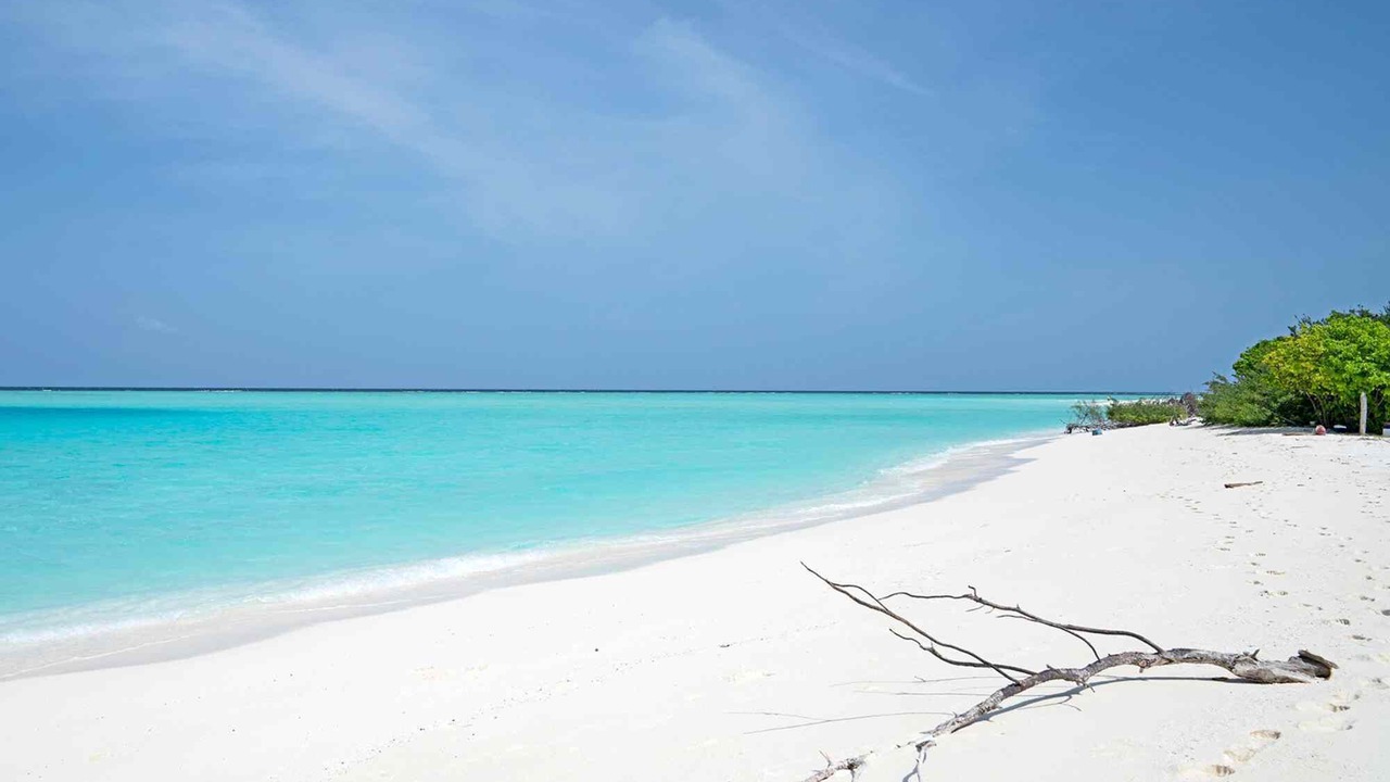 Photo of Others in Manadhoo