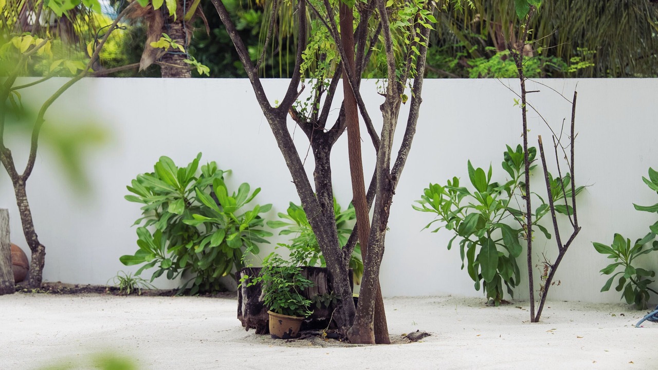 Photo of Outdoor in Rasdhoo