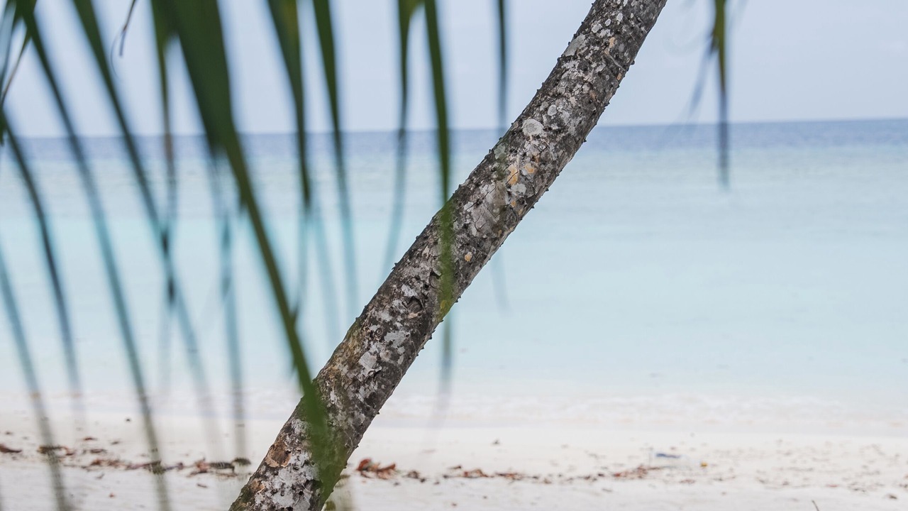 Photo of Others in Rasdhoo