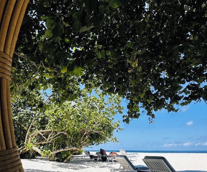 Photo of Others in Kamadhoo