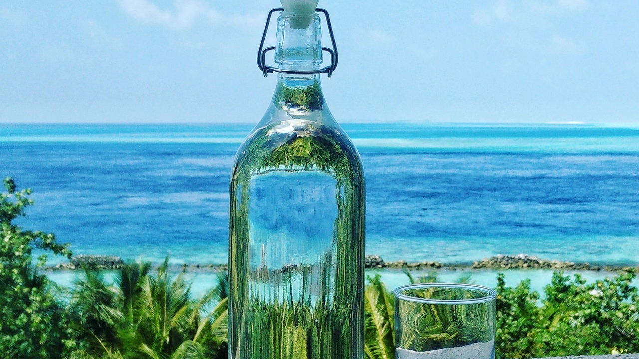 Photo of Others in Thulusdhoo Island
