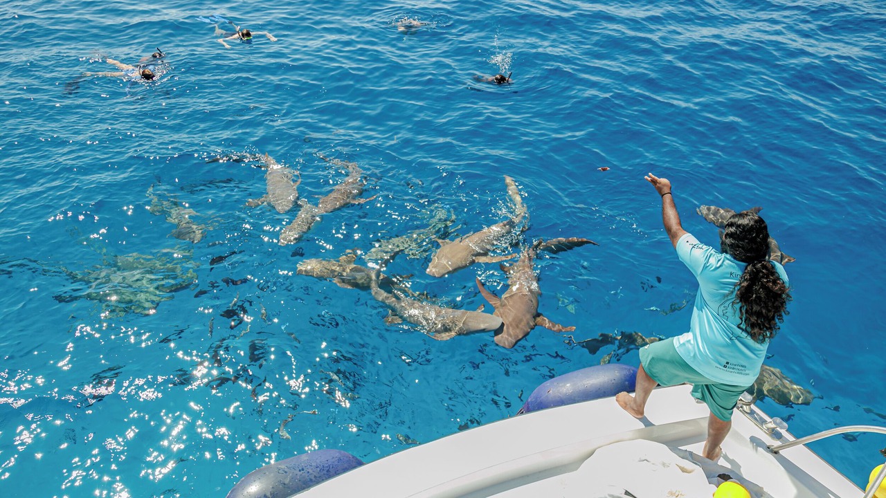 Photo of Others in Fulidhoo
