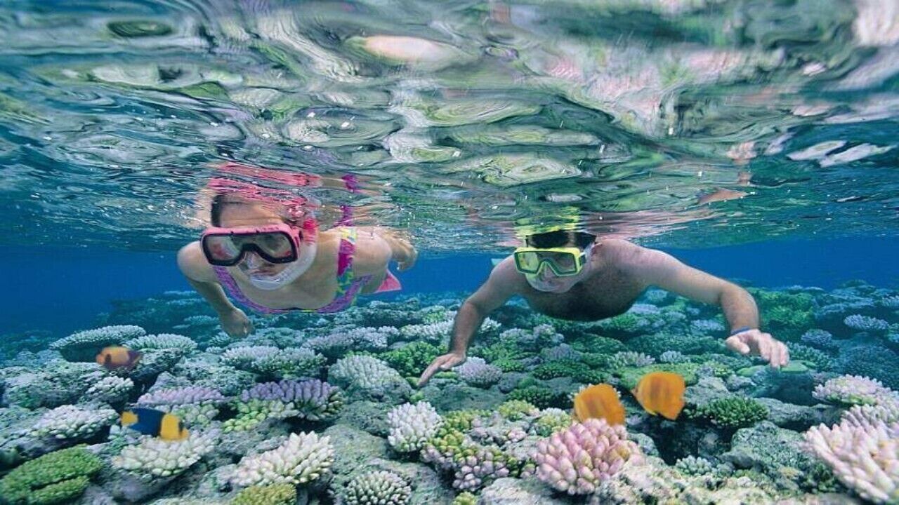 Photo of Others in Thulusdhoo Island