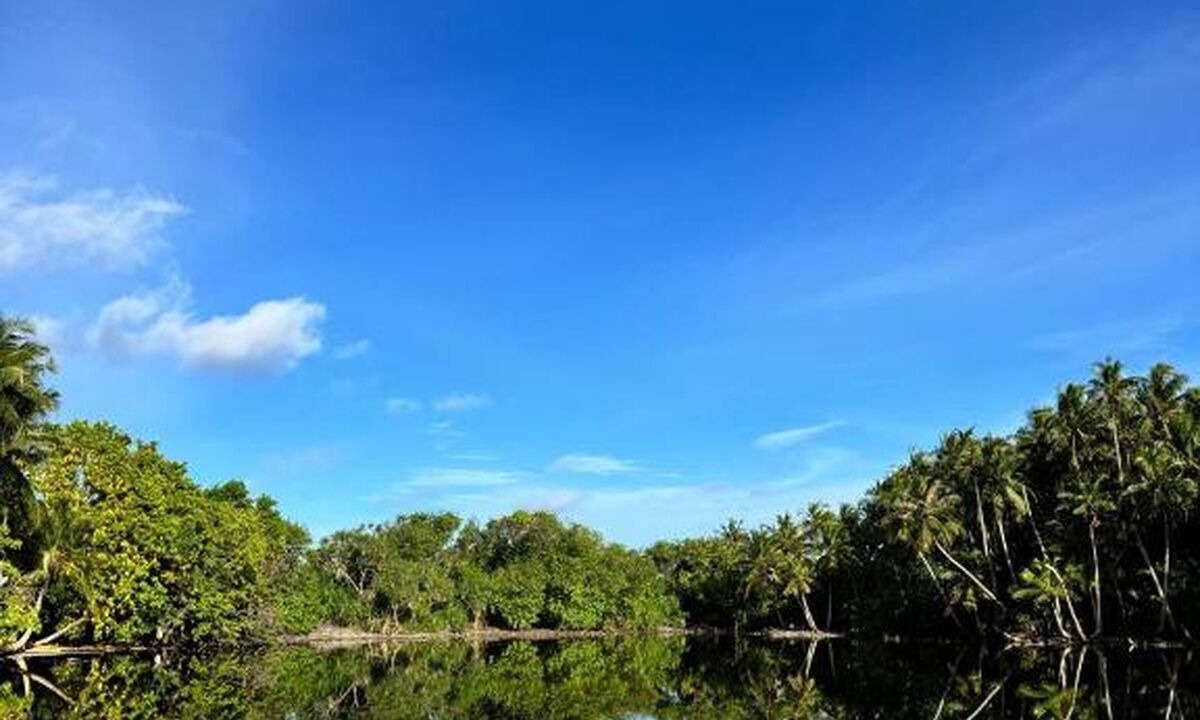 Photo of Others in Goidhoo