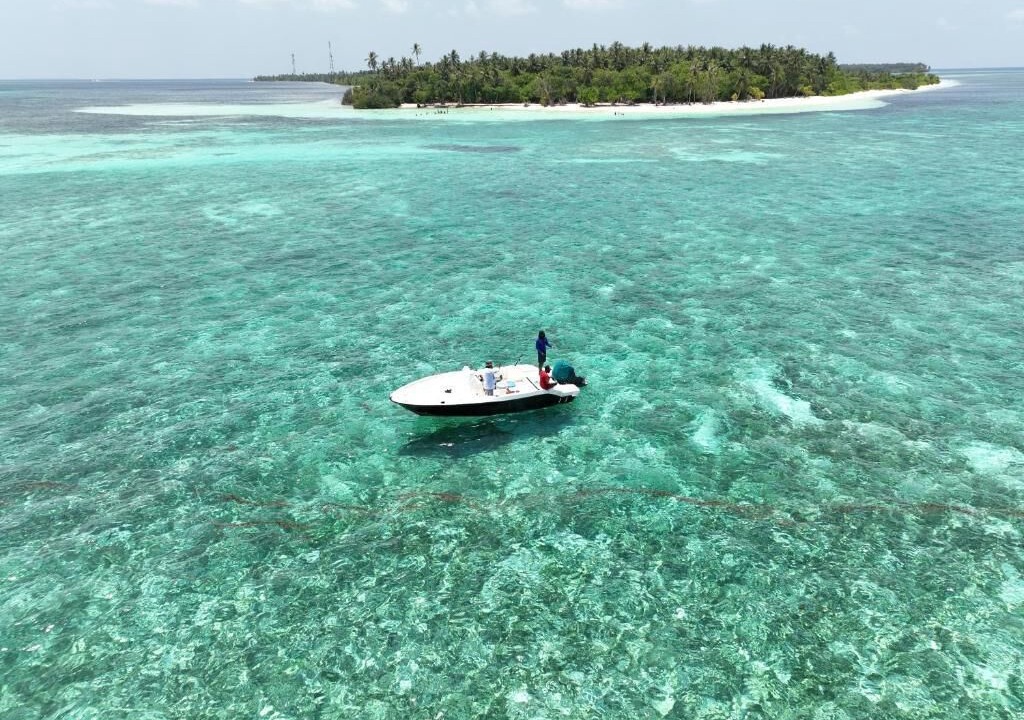 Photo of Others in Goidhoo
