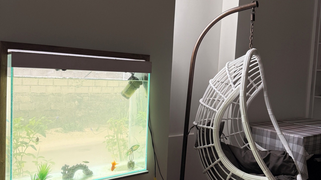 Photo of Others in Kanditheemu