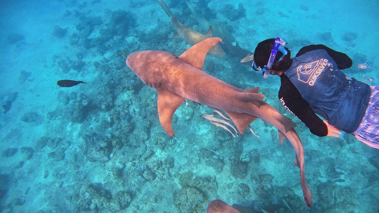Photo of Others in Kudahuvadhoo