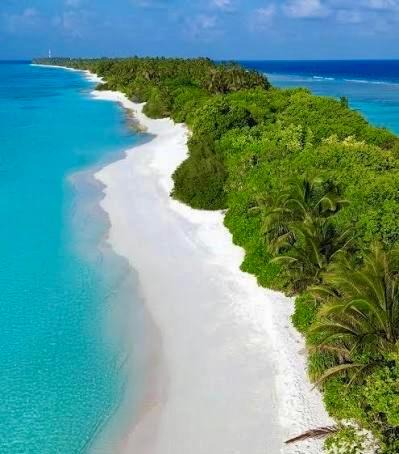 Photo of Others in Dhigurah