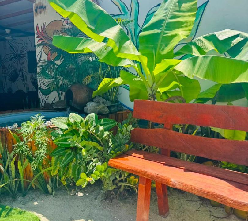 Photo of Others in Thoddoo