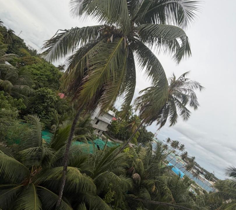 Photo of Others in Maamigili