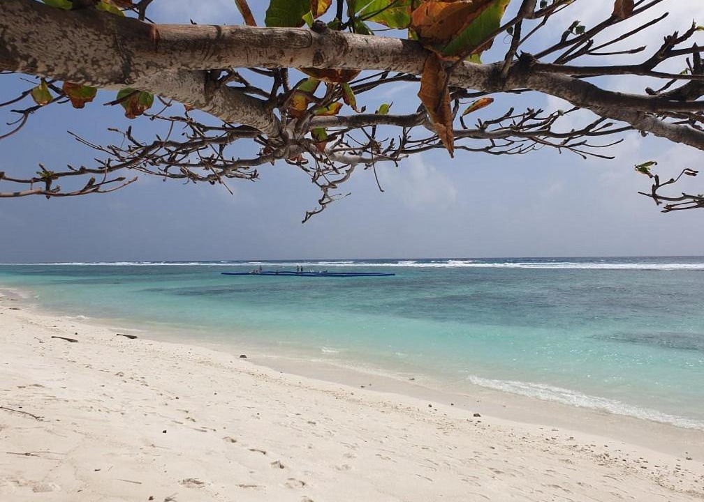 Photo of Others in Hulhumale