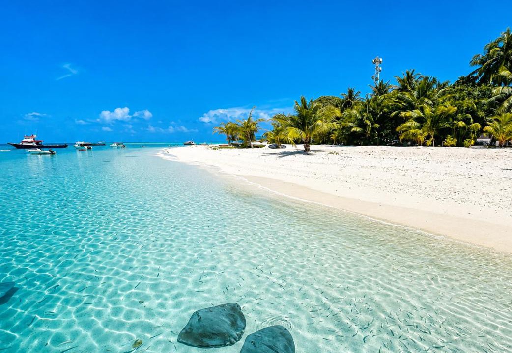 Photo of Others in Fulidhoo