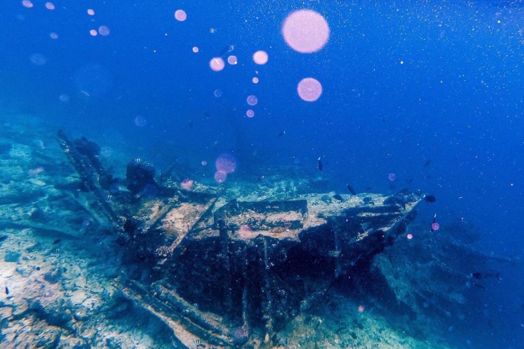Photo of Human In Picture in Lhaviyani Atoll