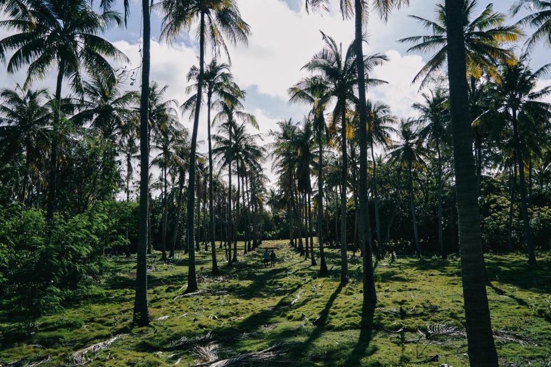 Photo of Others in Maamigili