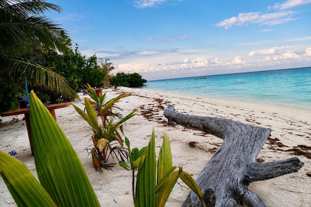 Photo of Others in Himmafushi