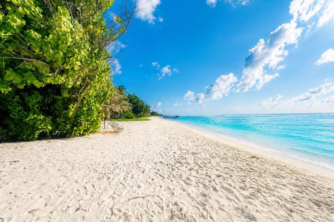 Photo of Others in Hulhumale