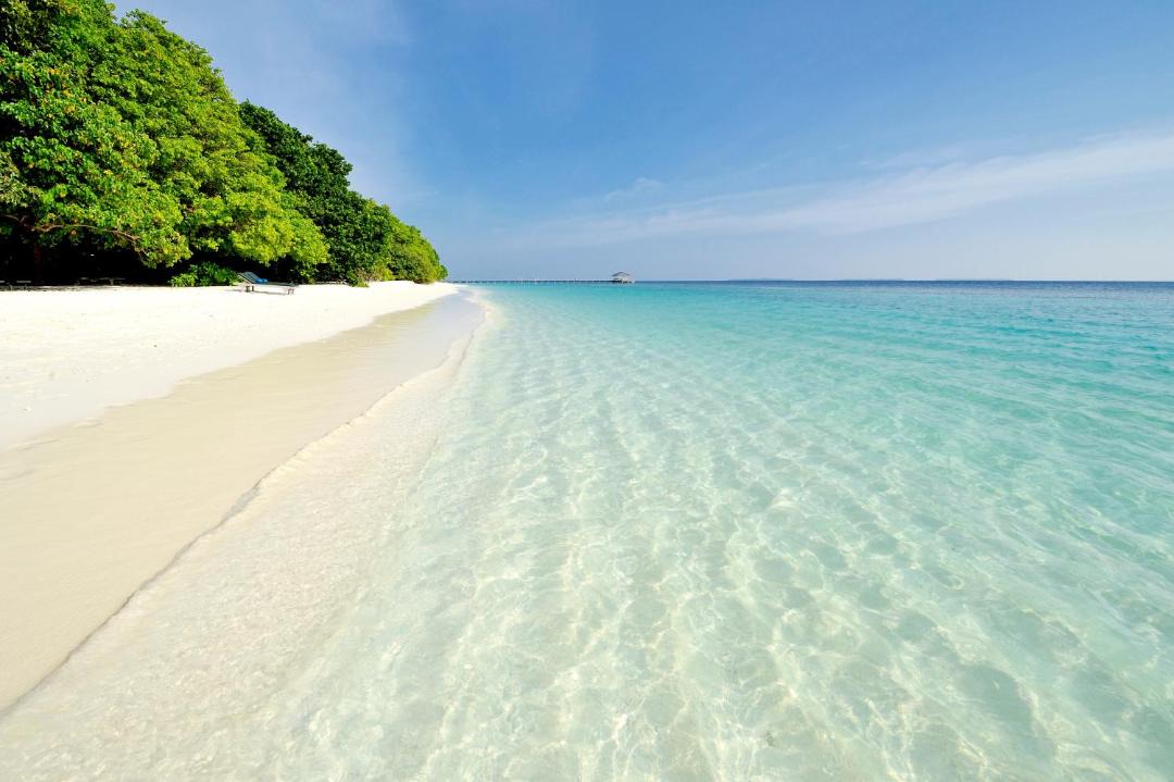 Photo of Others in Horubadhoo Island