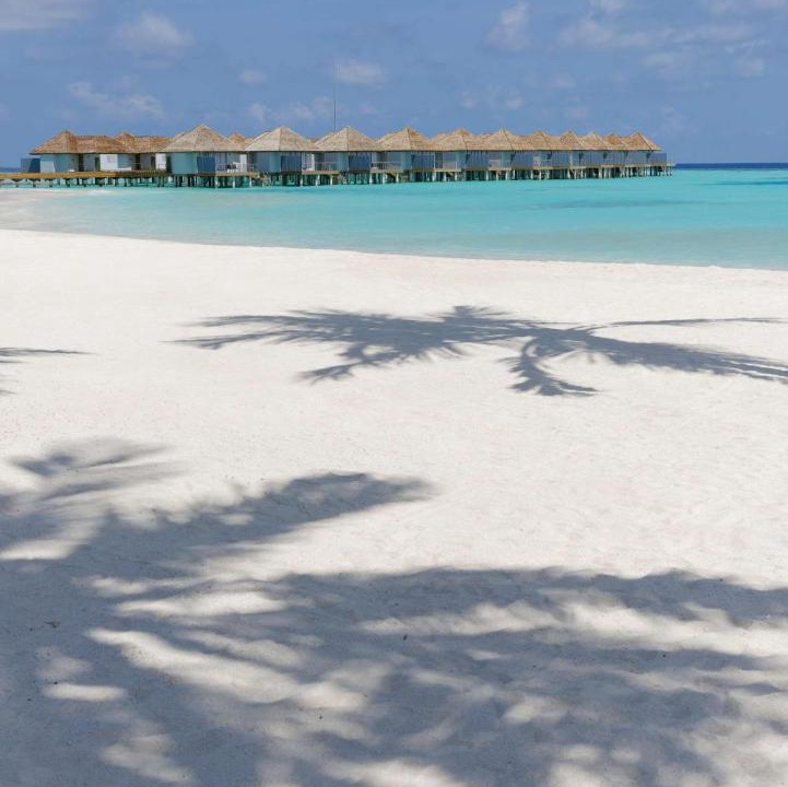 Photo of Others in Maafushivaru