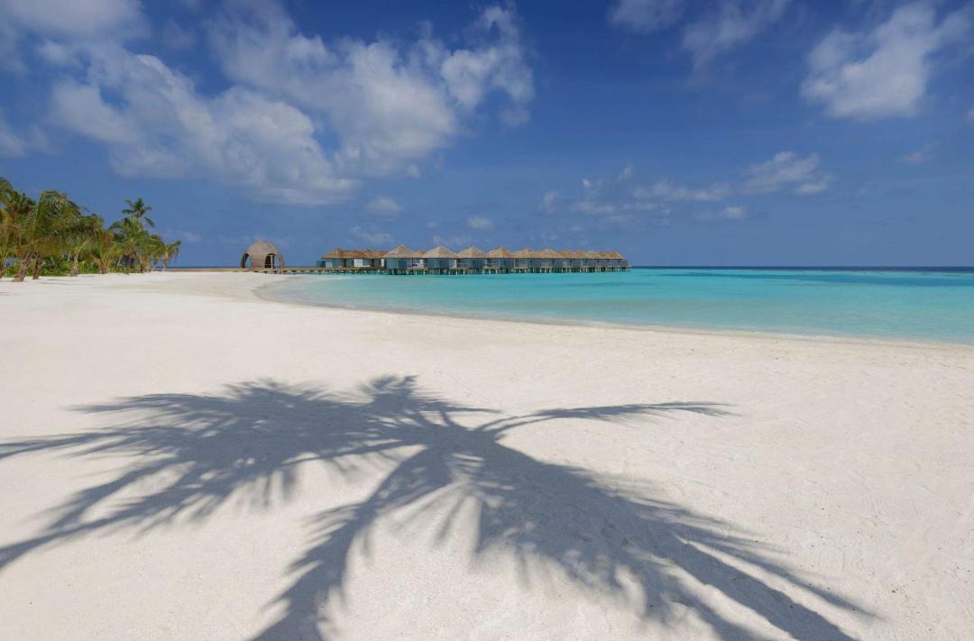 Photo of Others in Maafushivaru