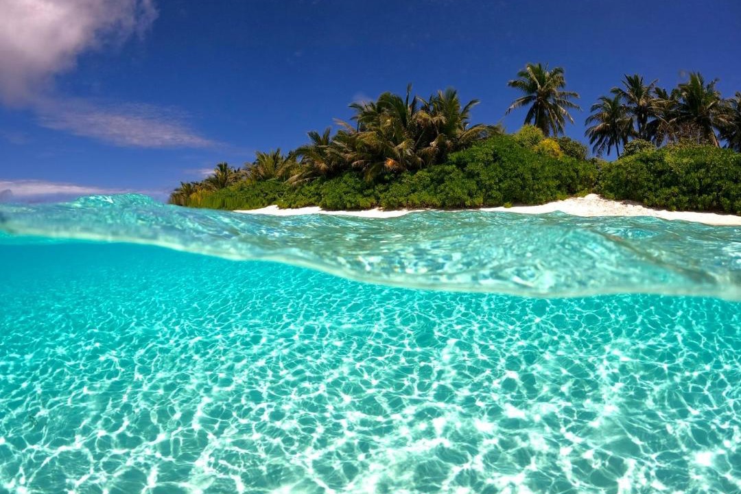Photo of Others in Thoddoo