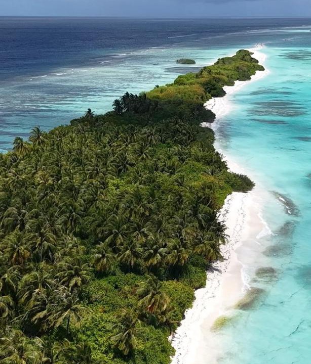 Photo of Others in Dhigurah