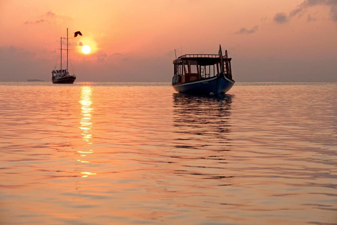 Photo of Others in Moofushi Island